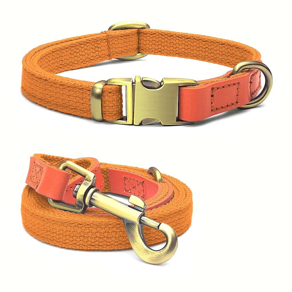 NylonPro Tactical Dog Collar & Leash Set - Orange