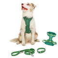 GreenPaw Multi-Use Harness & Leash