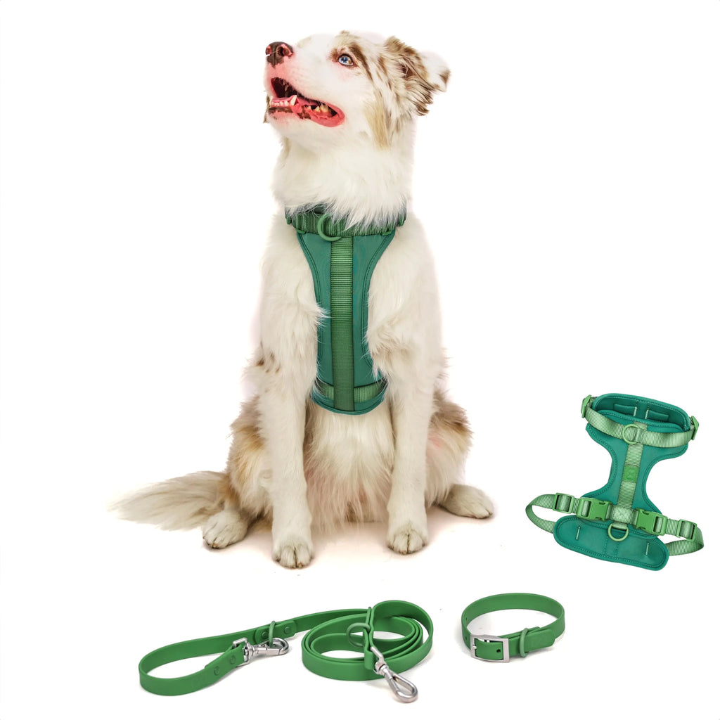 GreenPaw Multi-Use Harness & Leash